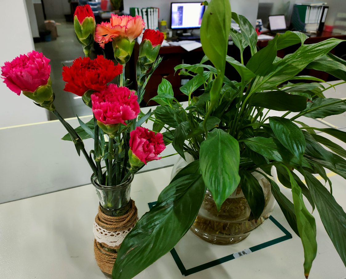 Bodog官网-相信品牌力量